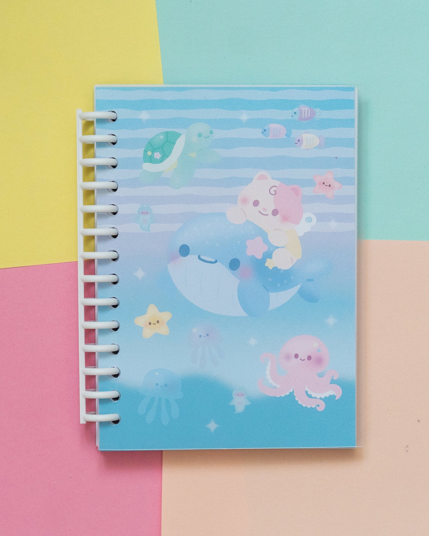 Binders and Sticker Books