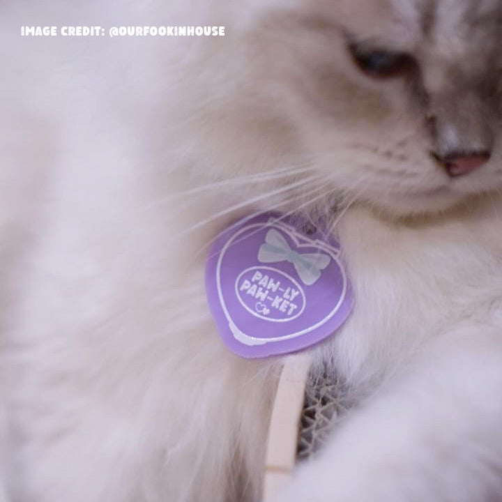 Paw-ly Paw-ket Pet Collar Charm