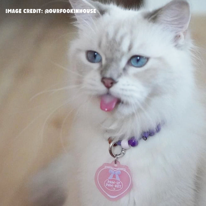 Paw-ly Paw-ket Pet Collar Charm