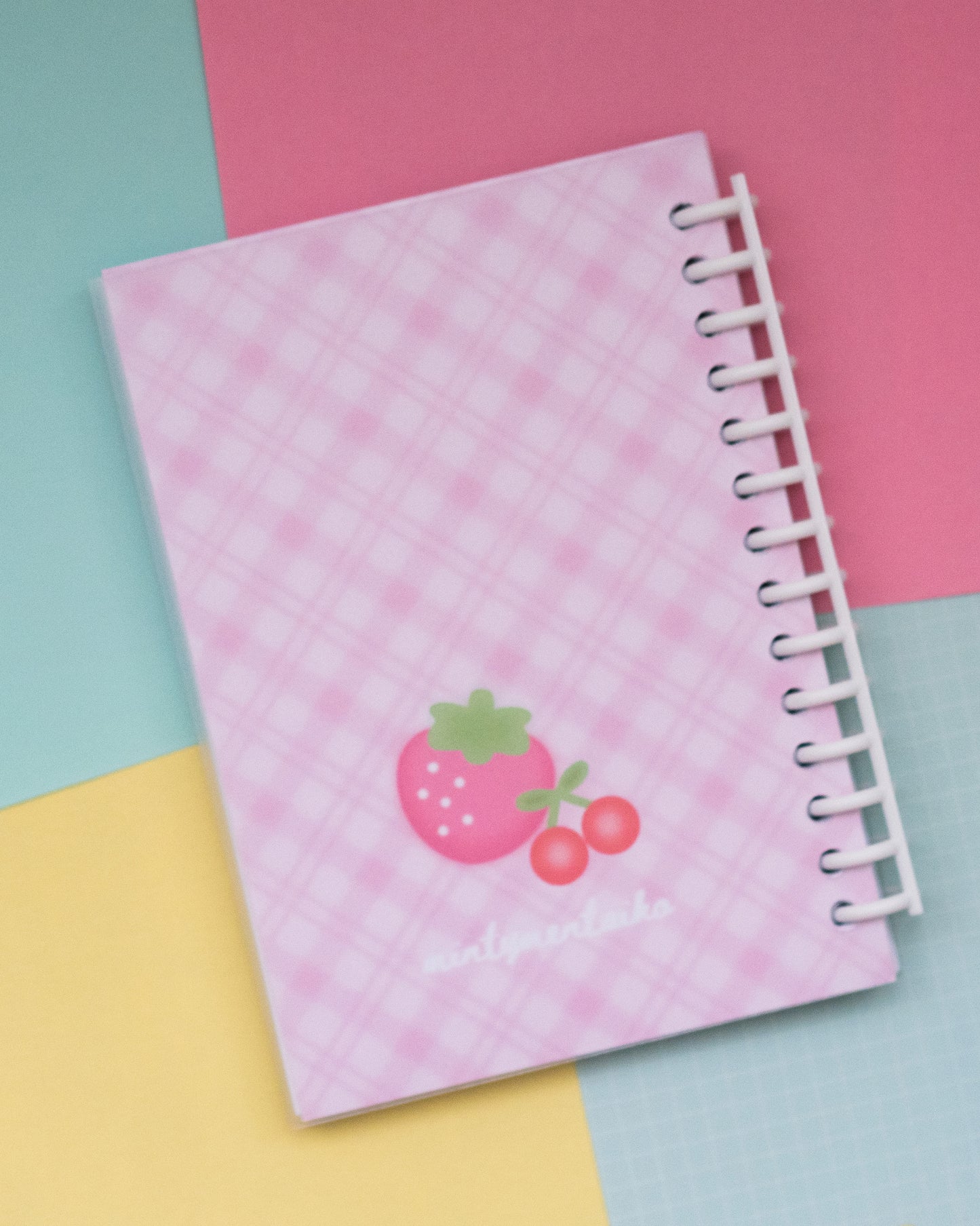 *new* Ichigo and Cherry- Double Sided Reusable Sticker Book