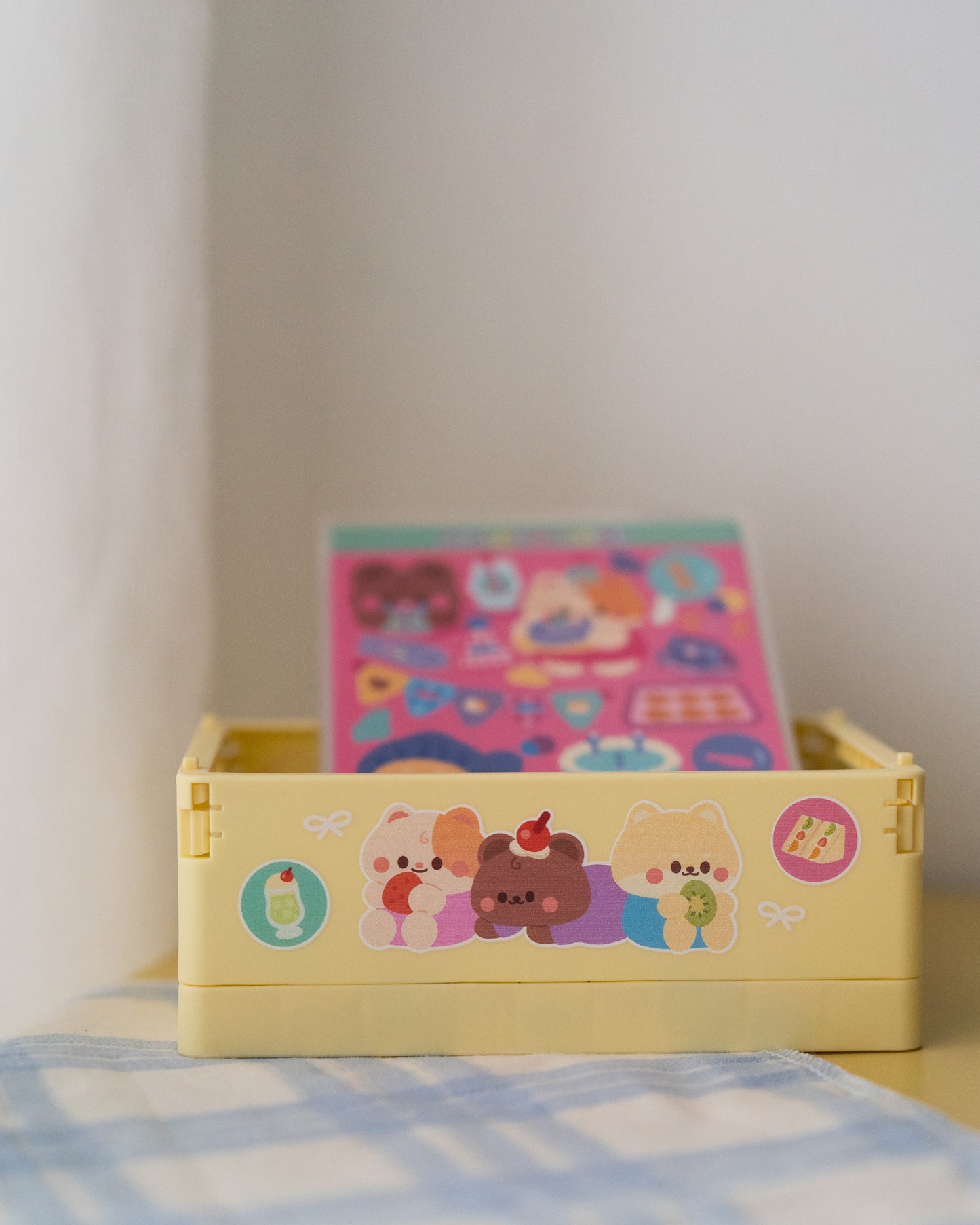 *new* Foldable Mini Storage Box