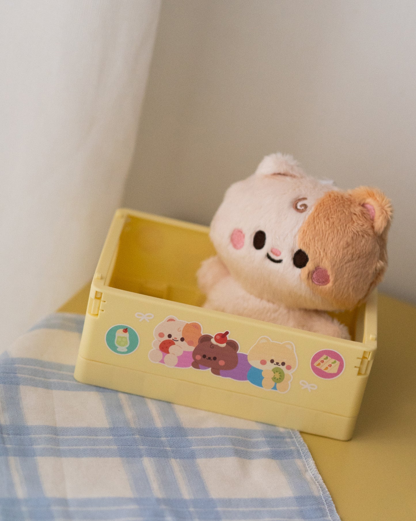 *new* Foldable Mini Storage Box