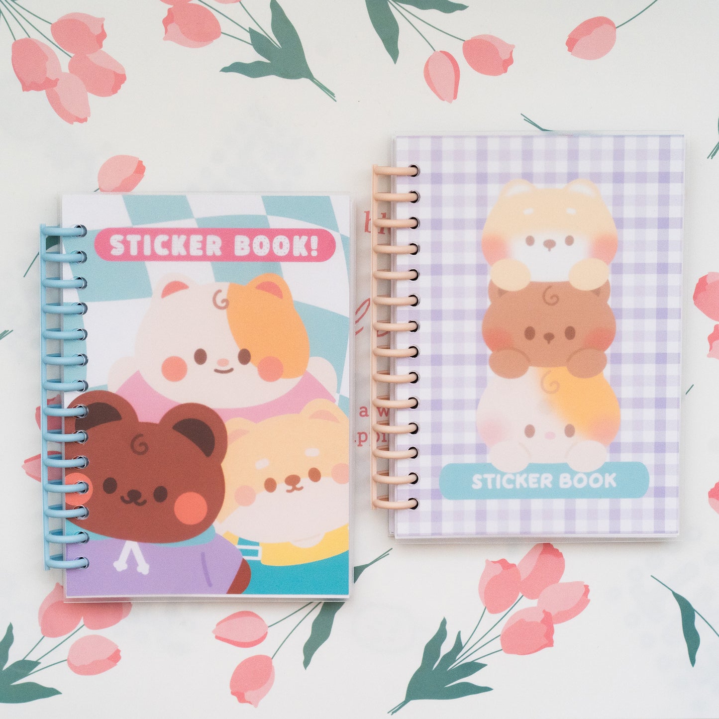 Double Sided Reusable Sticker Book -2 Versions