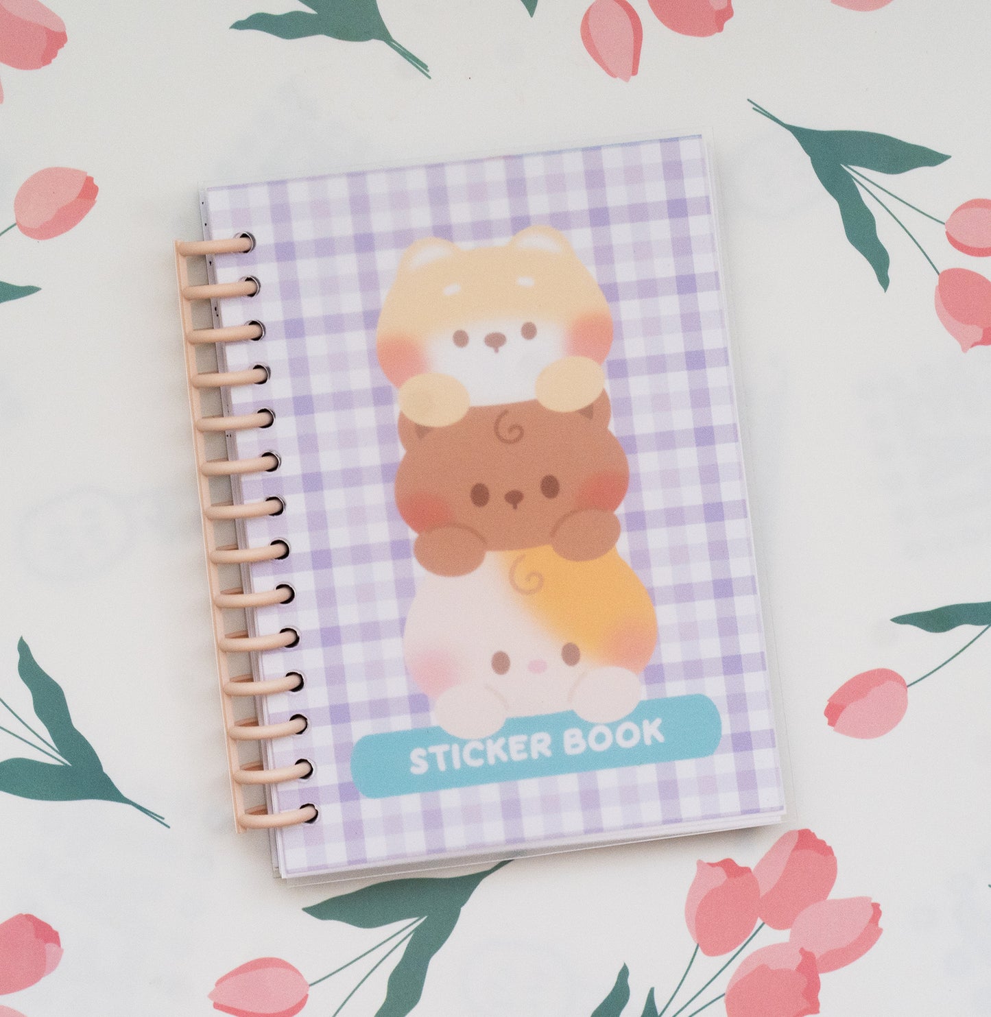 Double Sided Reusable Sticker Book -2 Versions