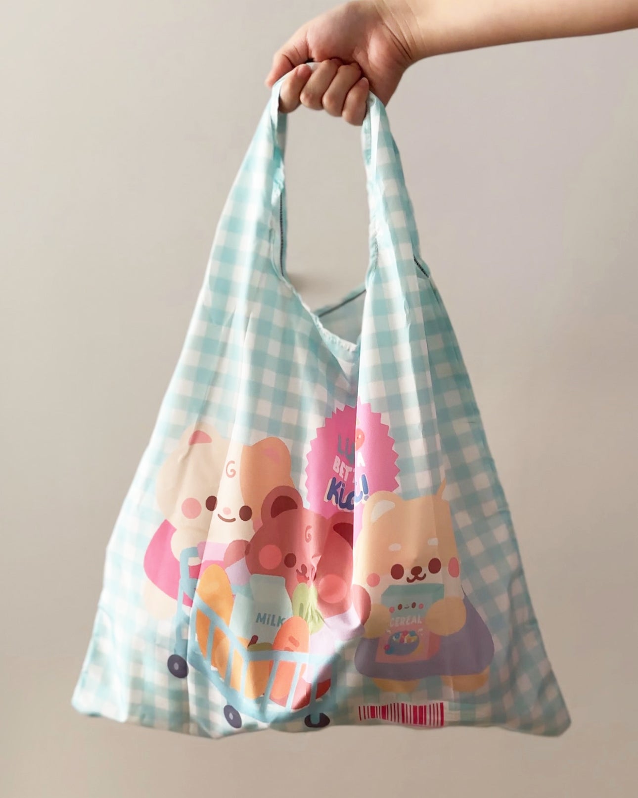 *new* Eco Recycle Bag for Groceries